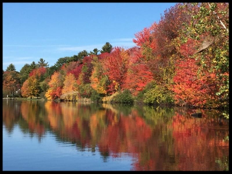 8 Dustin Dr unit 8A, Center Barnstead, NH 03225 - photo 1