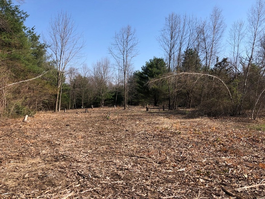 0 Beebe Rd L:4, Monson, MA 01057 - photo 1