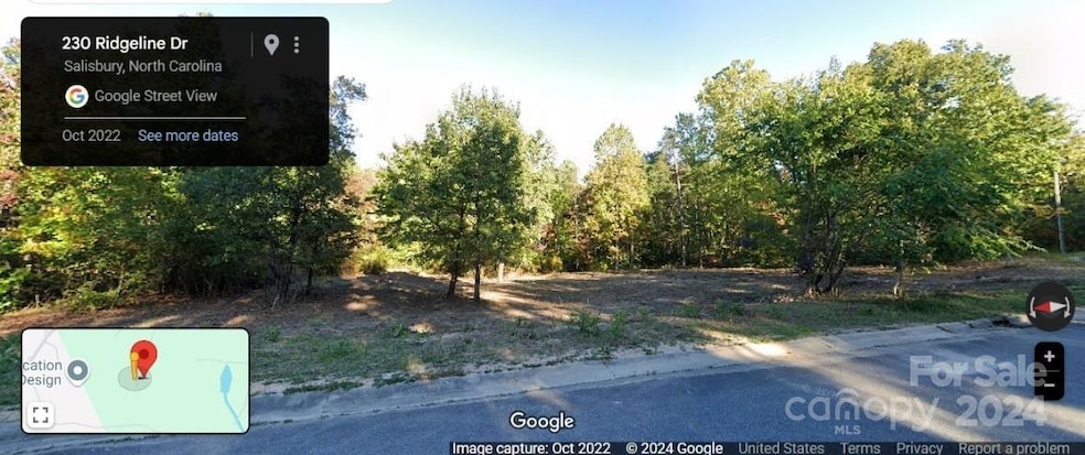 230 Ridgeline Dr unit 15, Salisbury, NC 28146 - photo 1