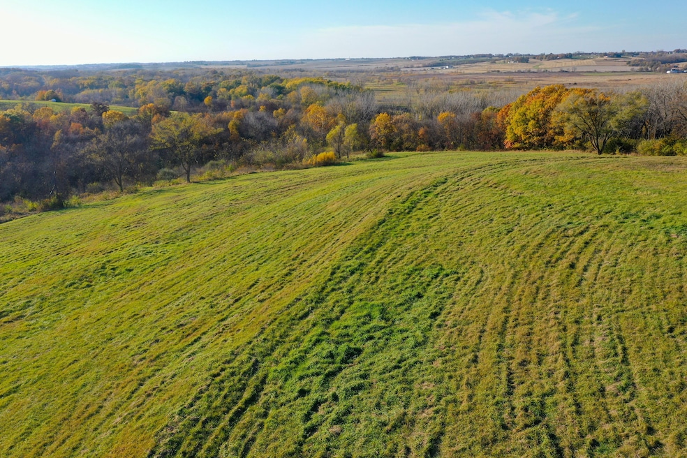 170th Avenue, Carlisle, IA 50047 - photo 1