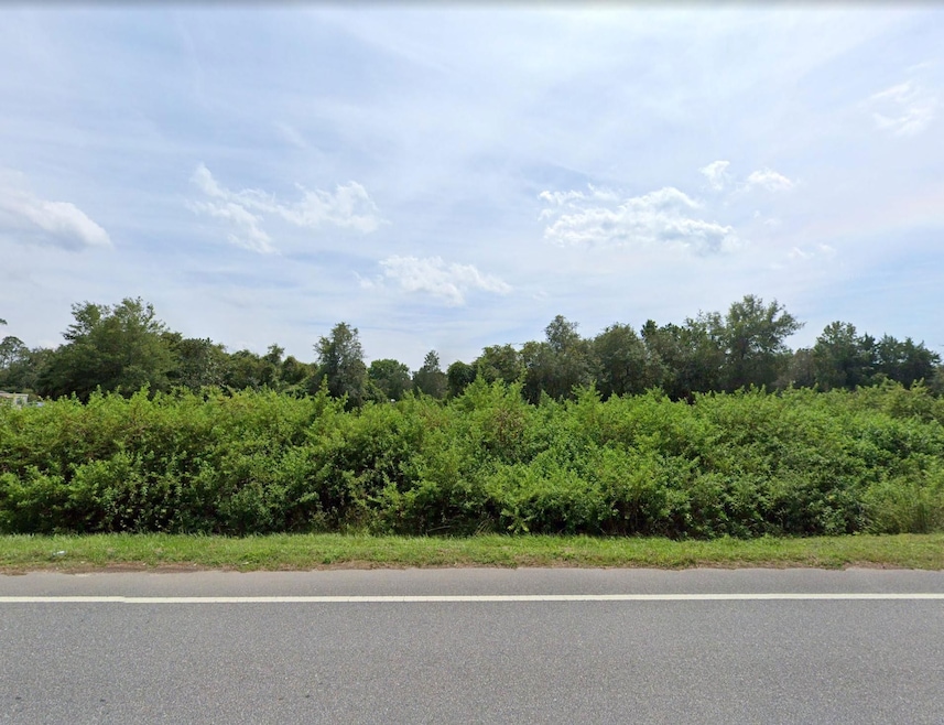 0 Palmetto St unit 25565546, Paisley, FL 32767 - photo 1