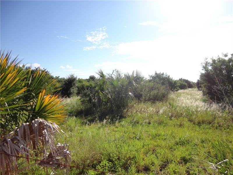 0 Pearce Rd unit B4700922, Winter Haven, FL 33881 - photo 1