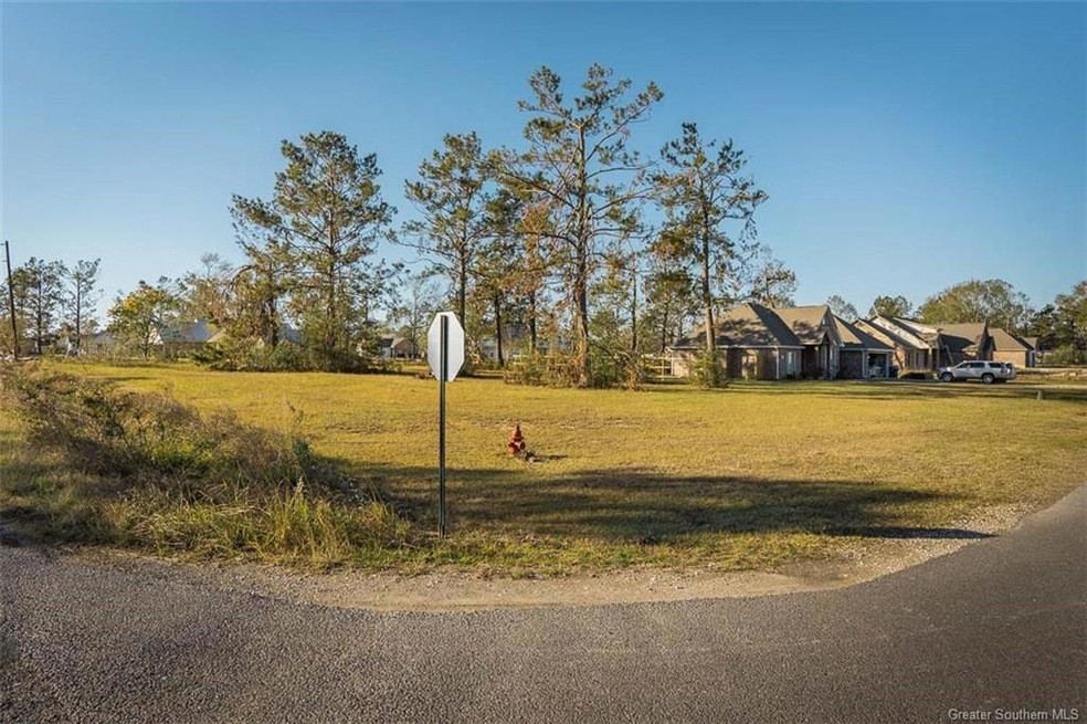 0 Ridgeway Dr unit SWL25002004, Ragley, LA 70657 - photo 1