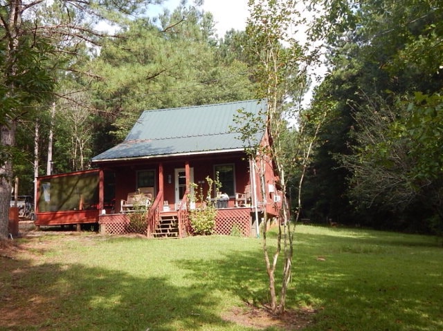 Main View