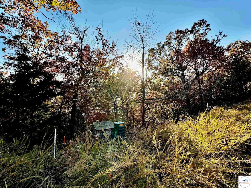 Lot  20 Lake Horizons Rd, Gravois Mills, MO 65037 - photo 1