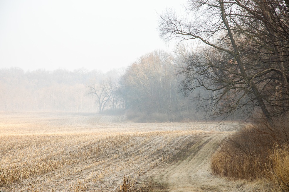 Lot 1 East St, Berlin Township, IL 61356 - photo 1