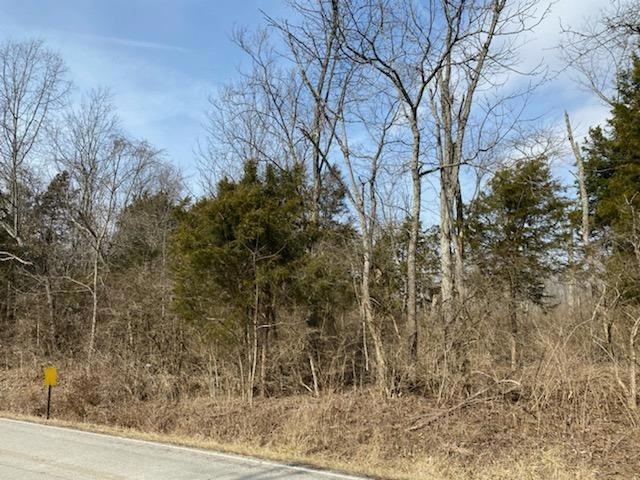 9234 Morrow Woodville Rd, Pleasant Plain, OH 45162 - photo 1