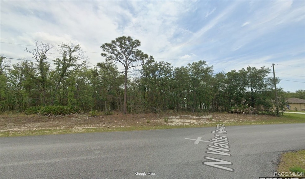 6251 N Walter Terrace, Pine Ridge, FL 34434 - photo 1