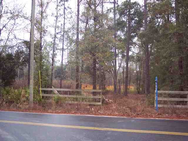000 Lawhon Mill Rd, Crawfordville, FL 32327 - photo 1
