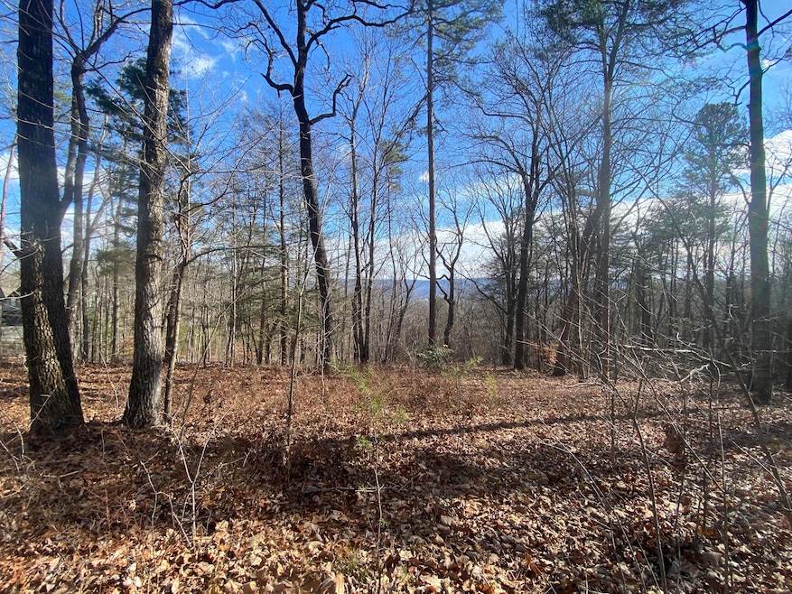 Bluff View 1