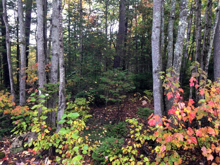 000 Garland Line Road Rd, Dover-Foxcroft, ME 04426 - photo 1