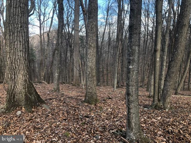 LOT 26D Cove Run Acres Dr, Mathias, WV 26812 - photo 1