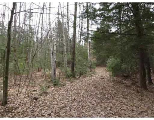 17 Jennison Rd, Wendell, MA 01379 - photo 1