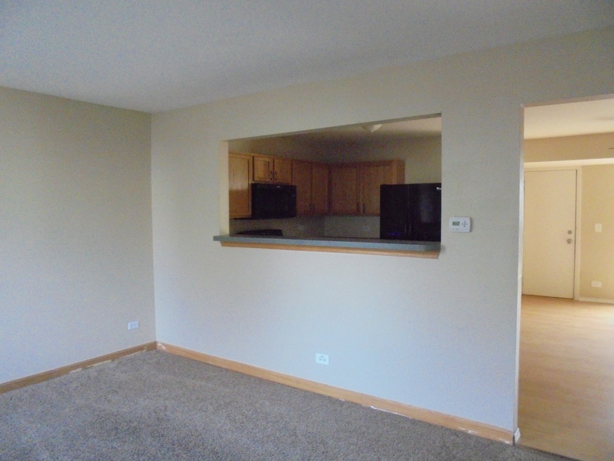 211 W Washington St unit 3253, Oswego, IL 60543 - photo 1