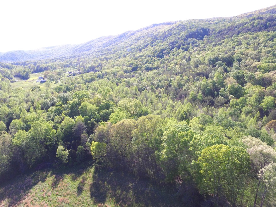 0 Highland Springs Rd unit 1115549, Blaine, TN 37709 - photo 1