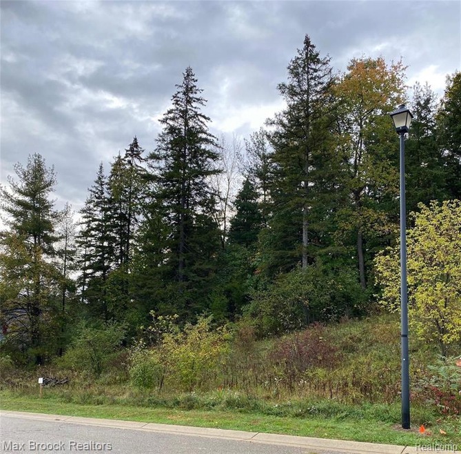 Street view of lot 110