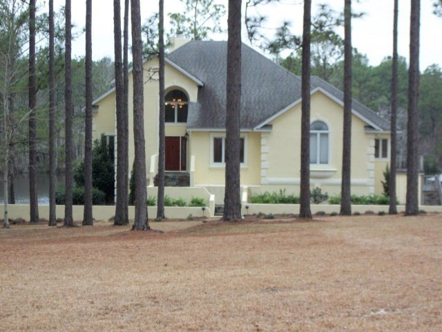 Main View