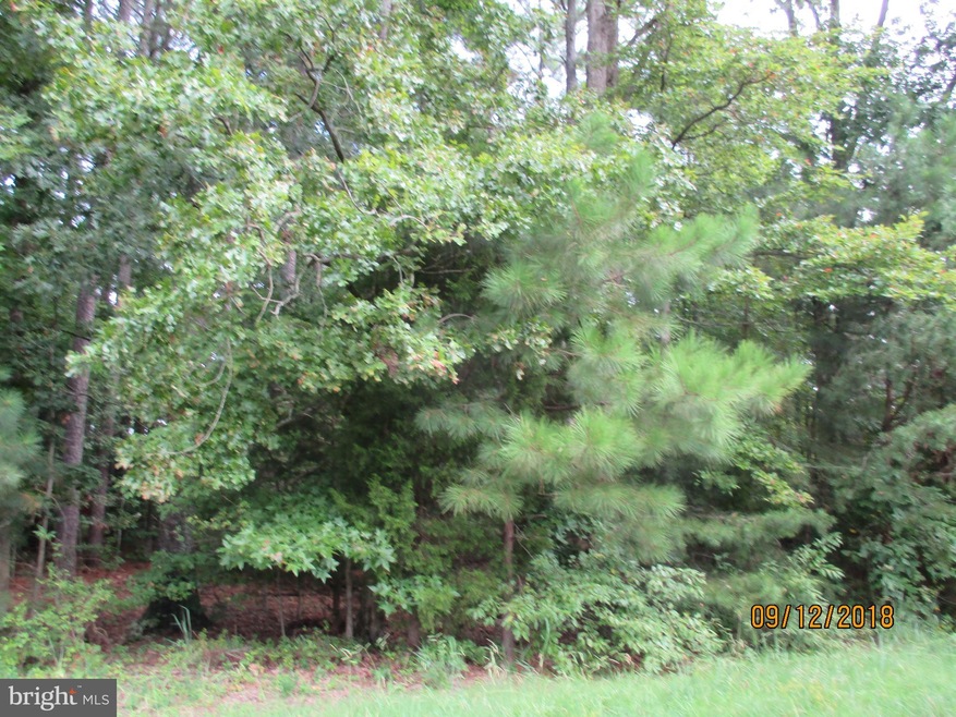 0 Calvert Ave, Saint Michaels, MD 21663 - photo 1