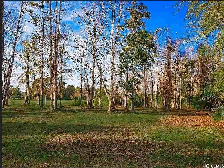 9742 Catalonia Ct unit LOT 110, Myrtle Beach, SC 29579 - photo 1