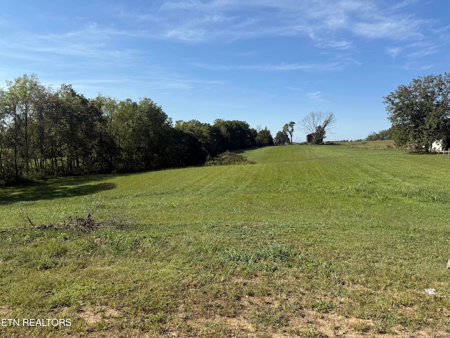 376 Davis Creek Rd, Speedwell, TN 37870 - photo 1