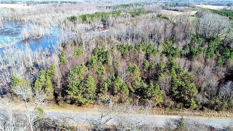 44 Ac Off Cattail, Elm City, NC 27822 - photo 1