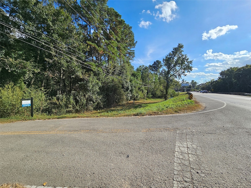 0 Hardin Store unit 12393015, Magnolia, TX 77354 - photo 1