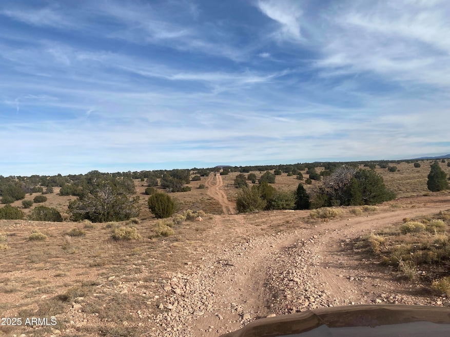 3147 E Silver Valley Rd unit 391, Valle, AZ 86046 - photo 1