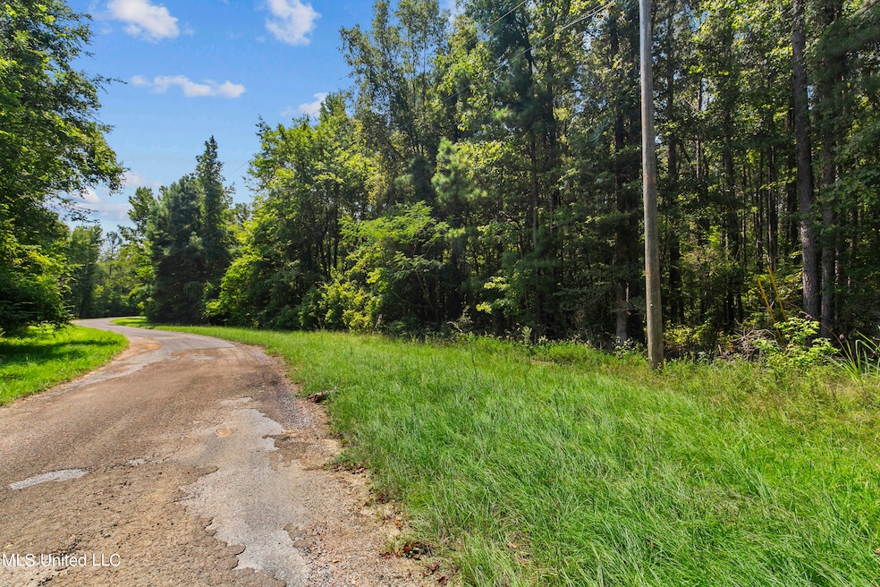 Jamison Ct-23 Acres-1