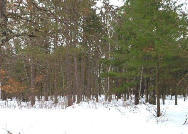 0 Lhotka Rd unit 1571555, Webster, WI 54893 - photo 1