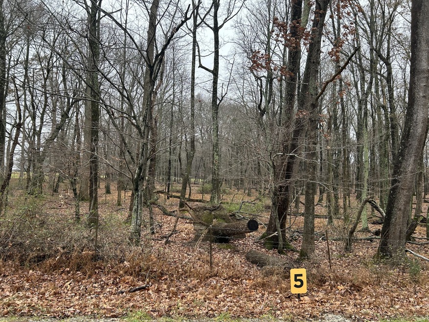 Sold $225,000 • Co-Listing Agent