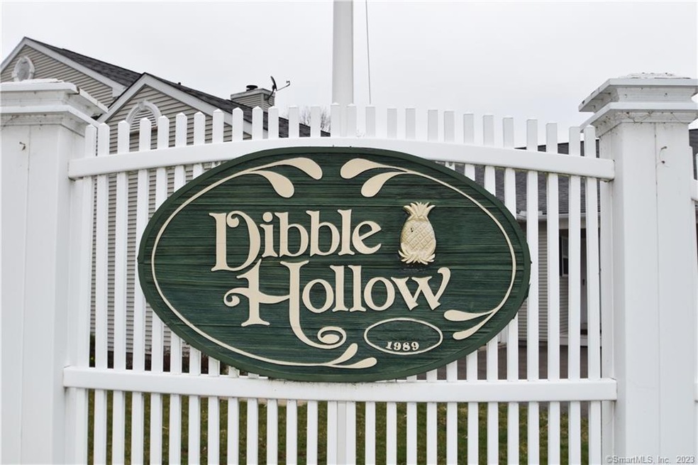 15 Dibble Hollow Ln, Windsor Locks, CT 06096 - photo 1