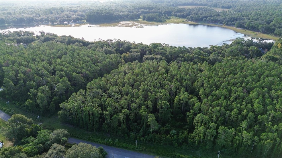 TBD SE 170th Ave, Ocklawaha, FL 32179 - photo 1