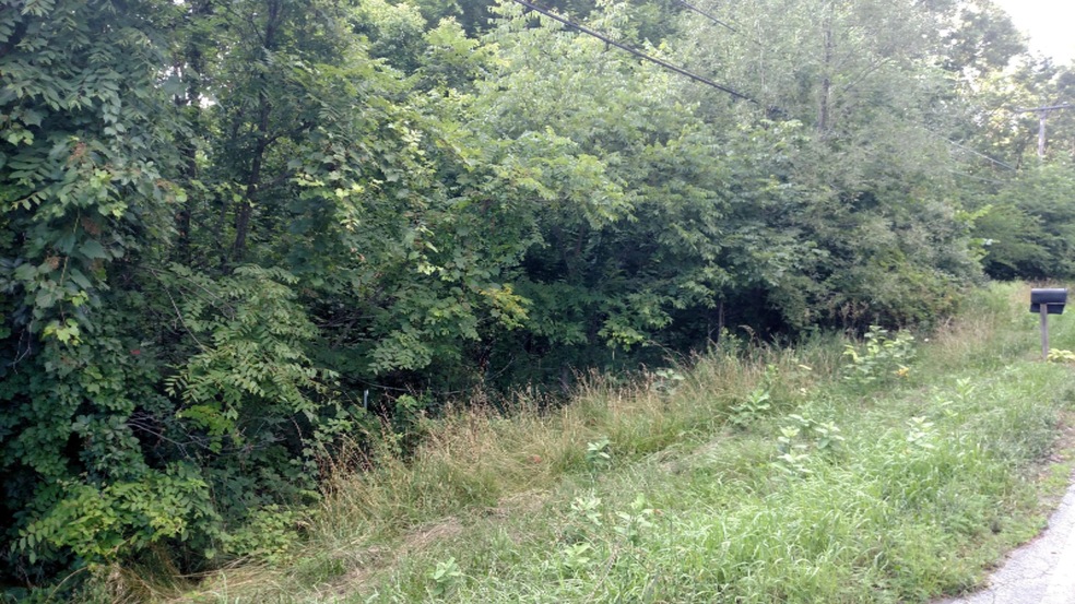 0 Hill St unit Parcel A, Ionia, MI 48846 - photo 1