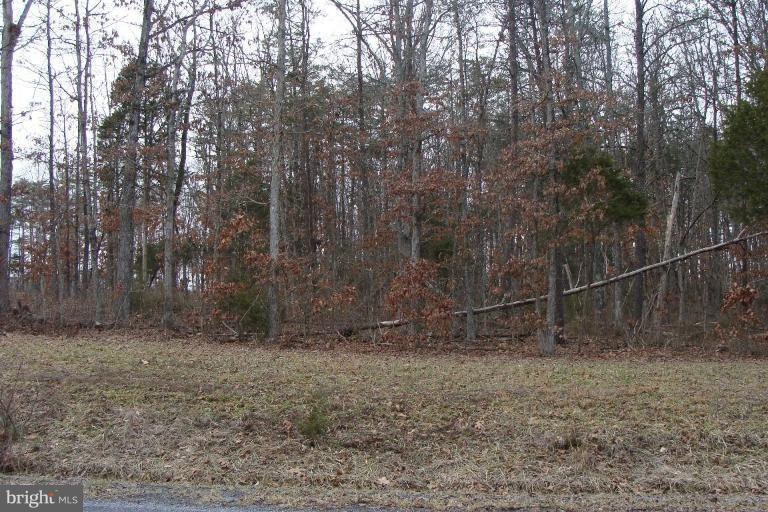 0 Thomas Dr unit 1000402931, Middletown, VA 22645 - photo 1