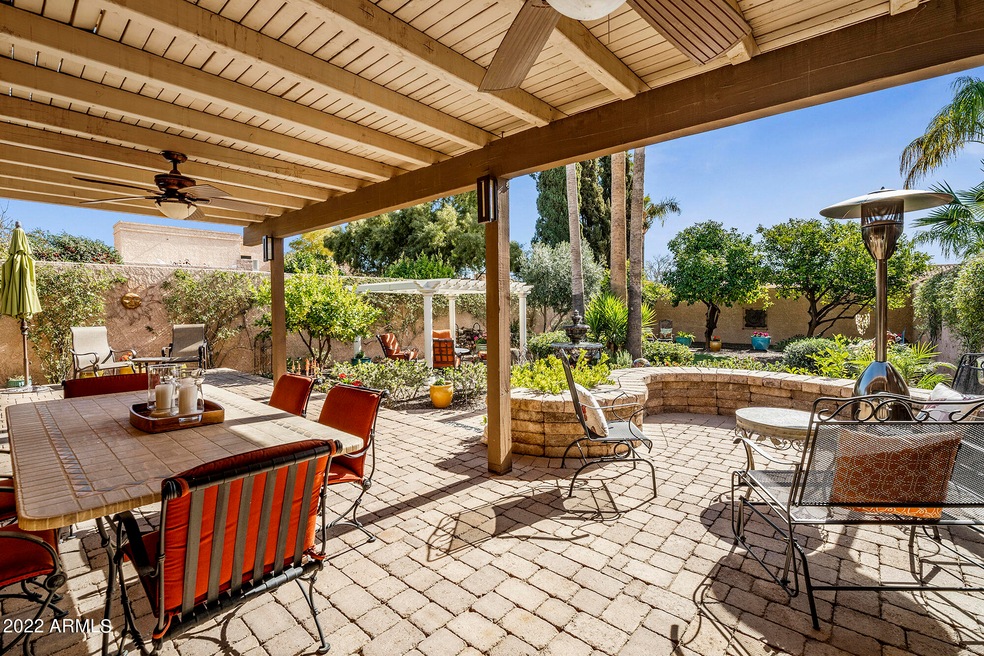 Stunning Back Yard