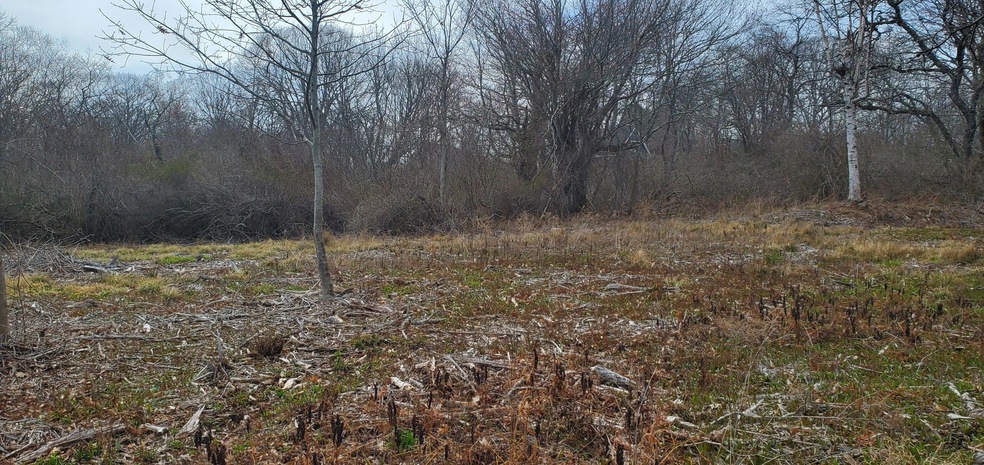 28 Little Bird Ln, Harpswell, ME 04079 - photo 1