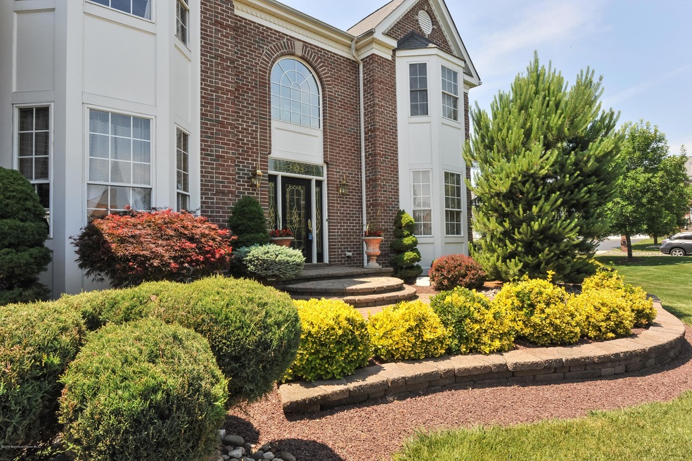 Professional Landscape