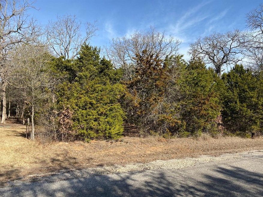 18041 Southhill Dr, Whitney, TX 76692 - photo 1