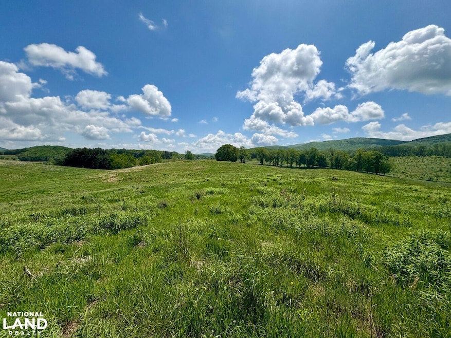 0 Horne Hollow Rd Tract B, Sugar Grove, VA 24375 - photo 1