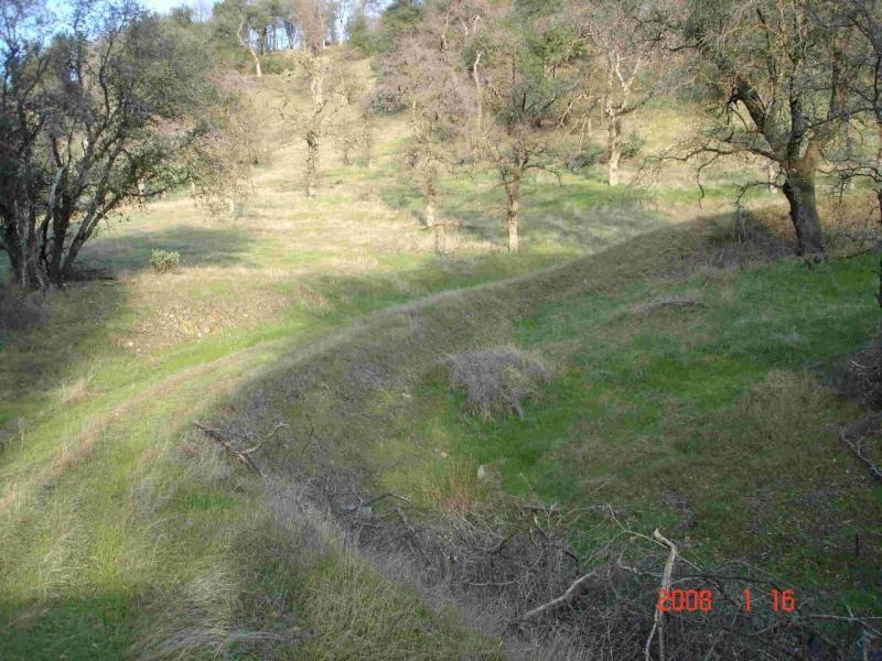 Creek Trail