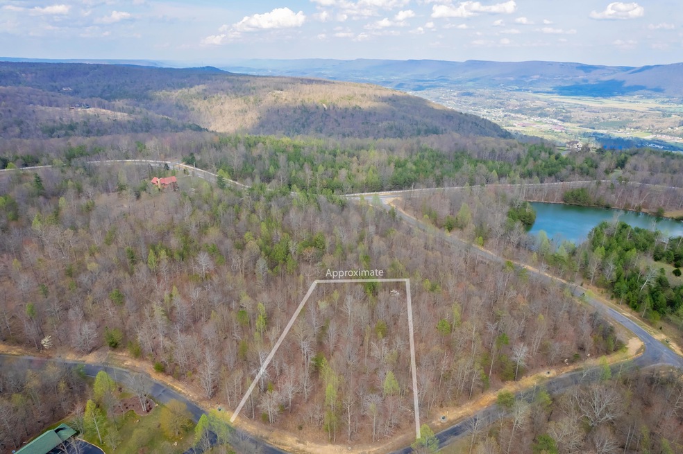 DJI_0106 lines