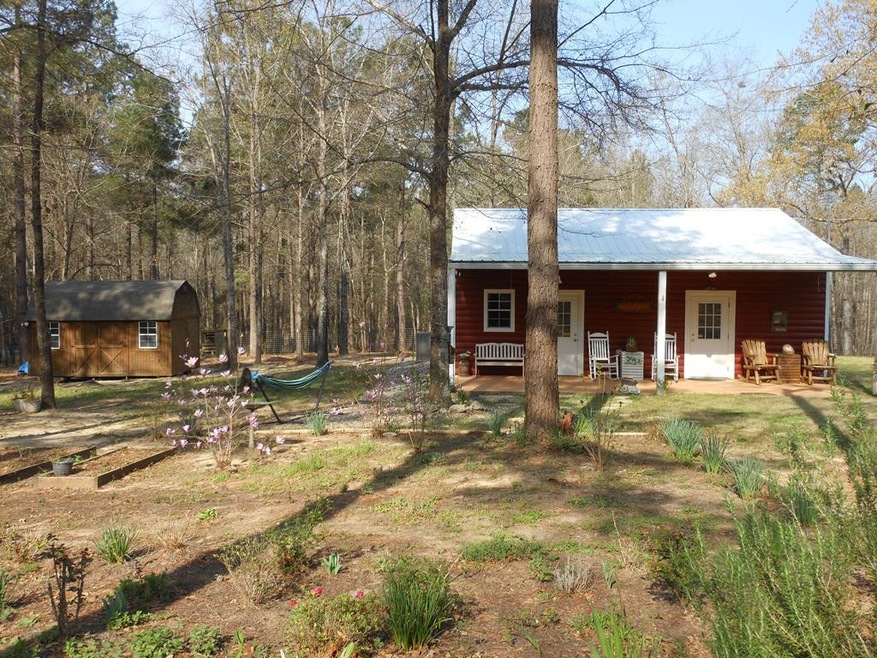 Main View