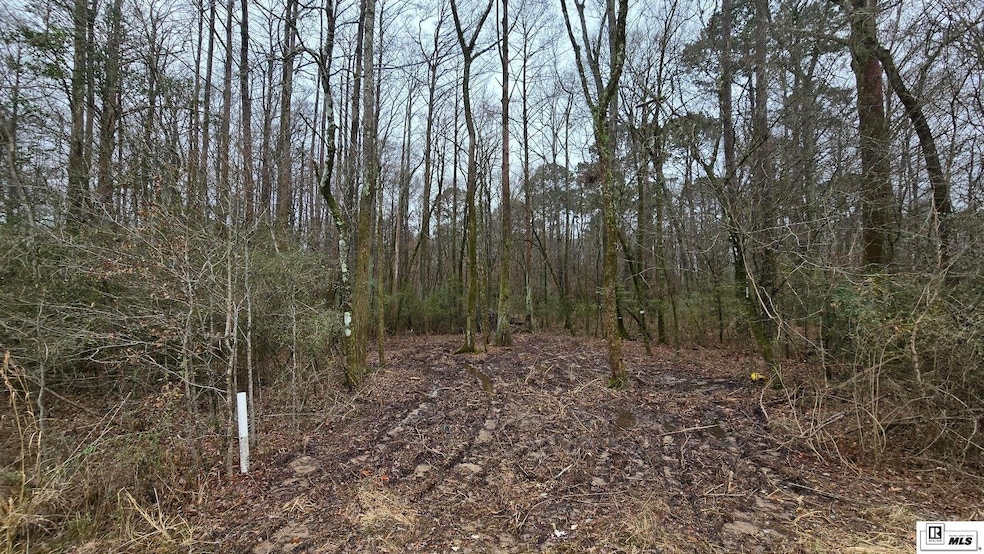 0 Highway 80 unit 213443, West Monroe, LA 71291 - photo 1