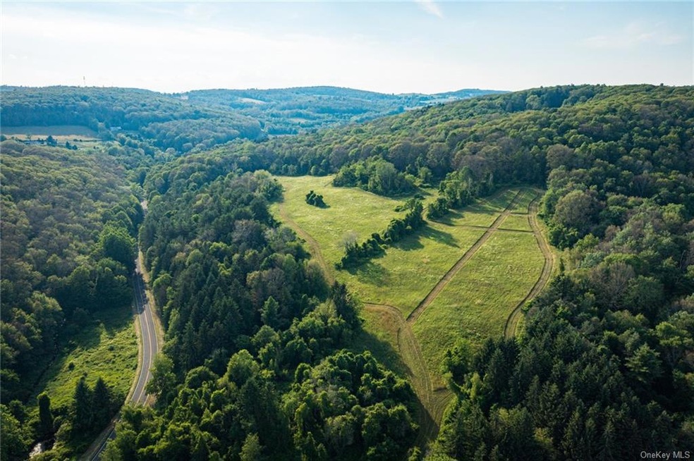 926 Old Route 22, Millerton, NY 12546 - photo 1