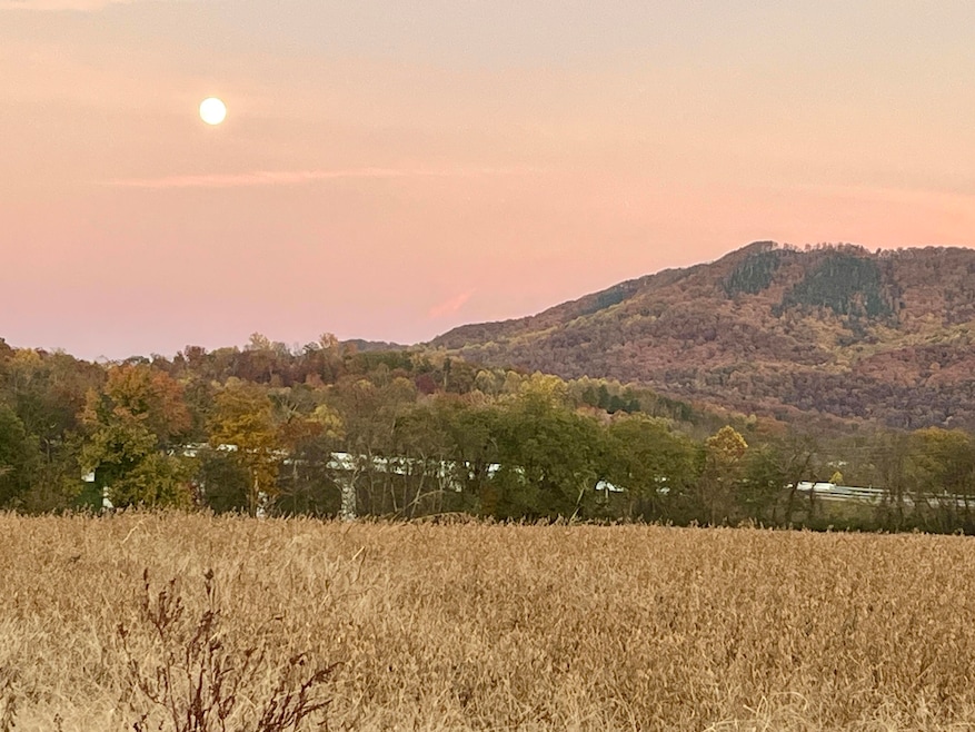 1650 E Highway 25 70, Newport, TN 37821 - photo 1