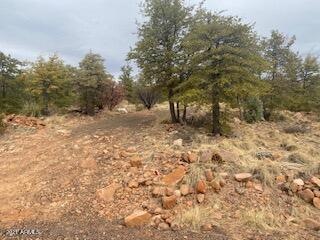 Lot 16 Hoot Owl Trail unit 16, Payson, AZ 85541 - photo 1