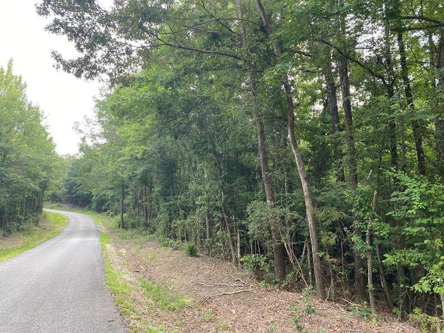 TBD County Road 435, Oxford, MS 38655 - photo 1