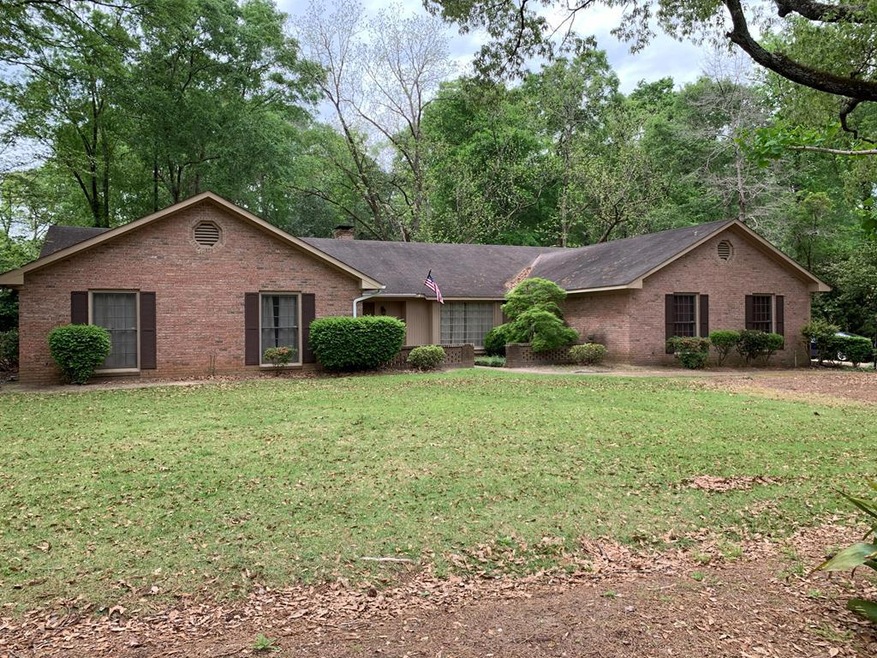 Main View