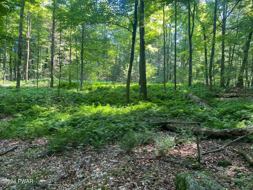 0 State Route 307 & Donny Dr unit PWBPW241930, Moscow, PA 18444 - photo 1