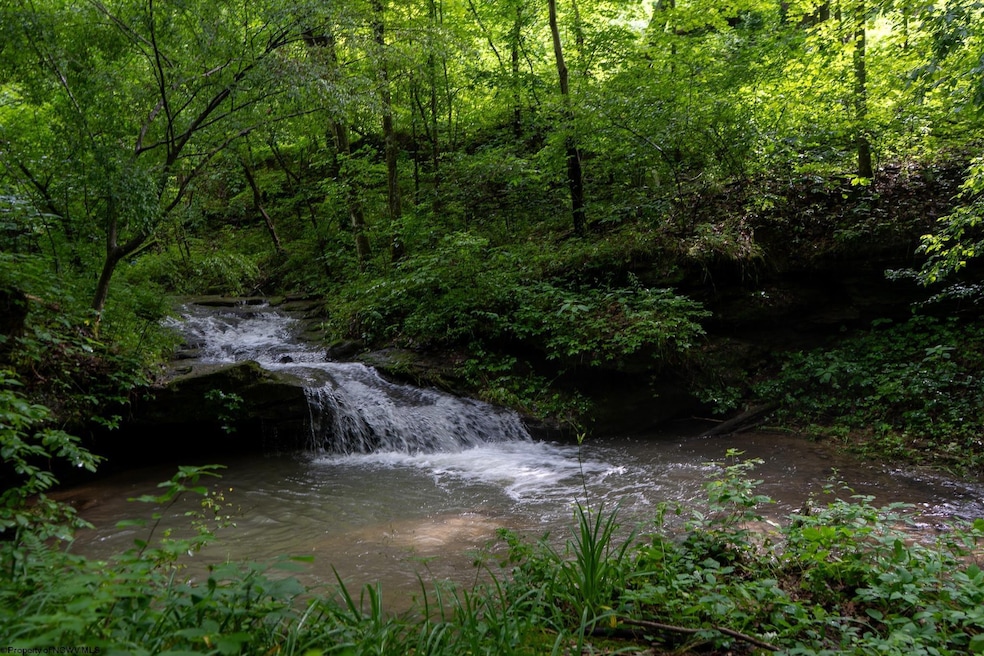 TBD Long Run Rd, Belington, WV 26591 - photo 1